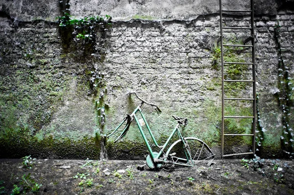 Abandoned factory — Stock Photo, Image