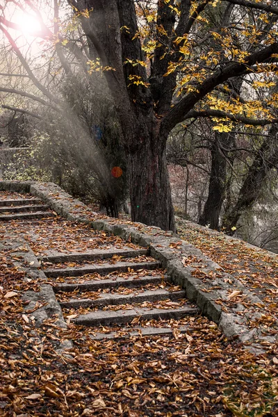 Jesień schody — Zdjęcie stockowe
