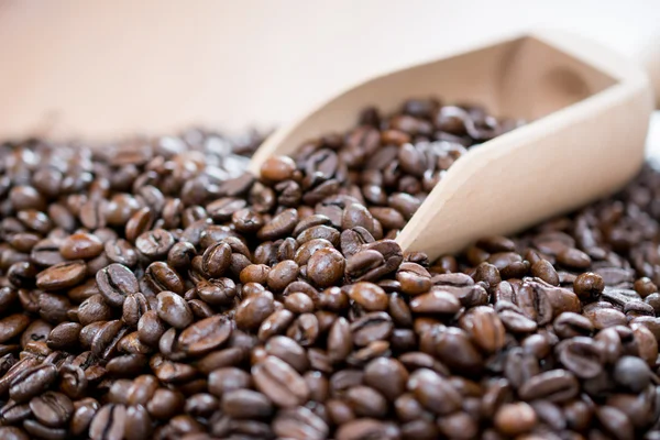 Roasted coffee beans — Stock Photo, Image