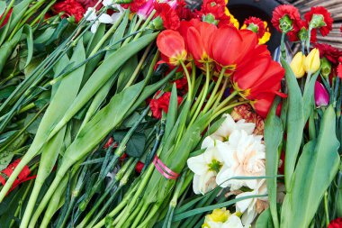Anıtın yanında bir demet farklı çiçek. Zafer gününde kırmızı laleler ve karanfiller. 9 Mayıs tatili. Yatay fotoğraf. Yakın çekim..