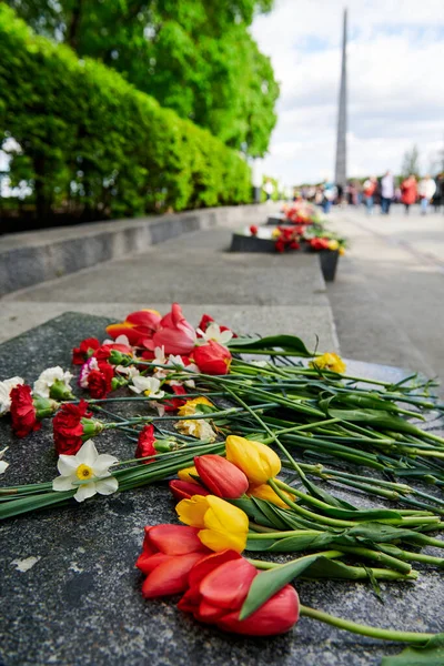 Olika Blommor Granitmonumentet Parken Tulpaner Och Nejlikor Victory Day Nionde — Stockfoto