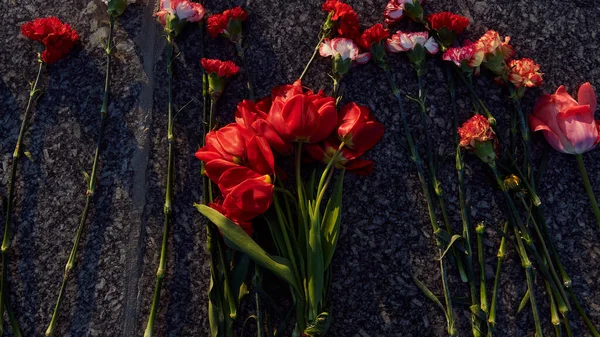 Röda Tulpaner Och Nejlikor Granitmonumentet Solnedgång Ljus Närbild Brett Webbformat — Stockfoto