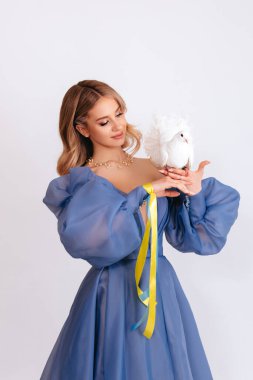 Ukrayna için dua et. Mavi kabarık elbiseli, Ukrayna bayrağı renginde kurdeleli genç bir kadın beyaz arka planda barışın beyaz güvercin sembolünü taşıyor. Savaşı durdurun. Boşluğu kopyala.