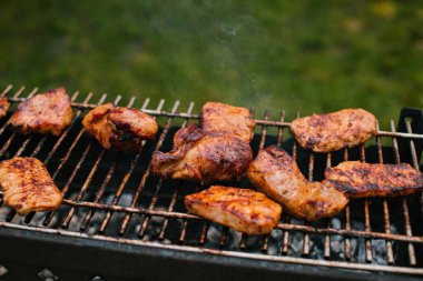 Yeşil bir çayırda ızgarada sıcak yaz barbeküsü. Domuz şişi..