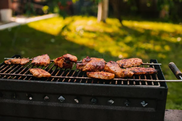 Barbecue Chaud Été Sur Gril Sur Une Prairie Verte Brochettes — Photo