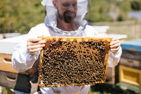 Beekeeper Protective Suit Holds Bee Frame Bee Brood Inspection Hives — Stock fotografie