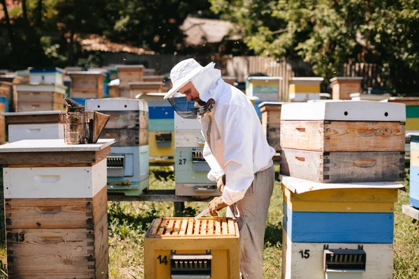 Beekeeper Protective Suit Removing Honeycomb Beehive Beekeeping Beekeeper Working Bees — Stock Photo, Image