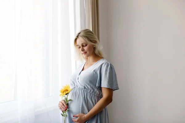Pregnant Woman Holds Sunflower Her Belly Window Home Concept Pregnancy — Fotografia de Stock
