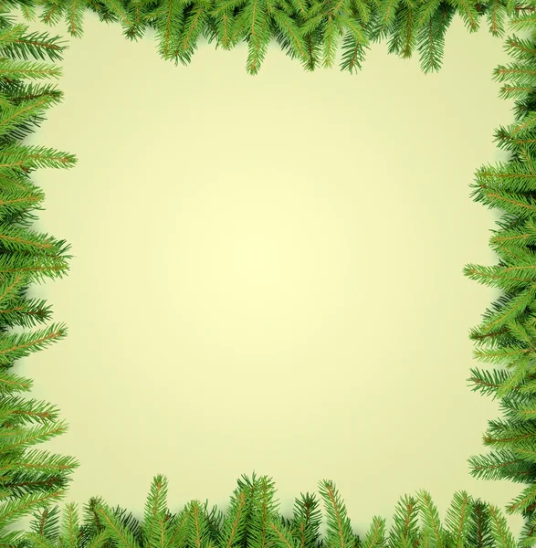 Fir tree branches frame — Stock Photo, Image