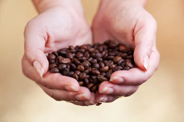 Koffie bonen in vrouw palmen — Stockfoto