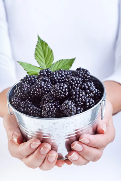 Woman hands holding blackberries in a small bucket — 图库照片