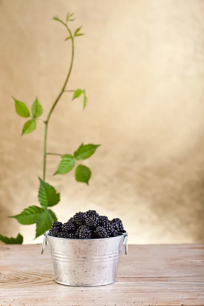 Moras frescas en un cubo sobre una mesa vieja — Foto de Stock