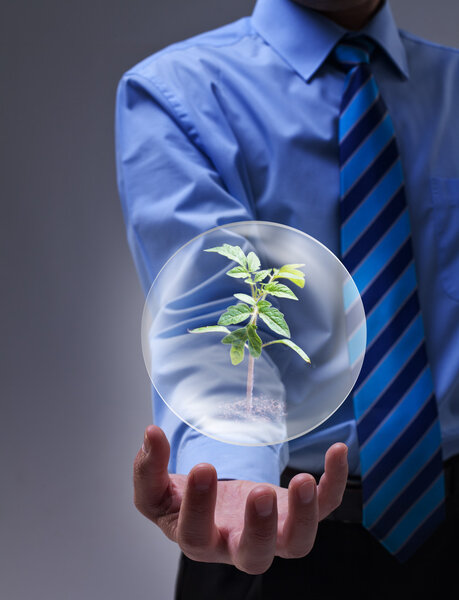 Magical solution to the environmental issue