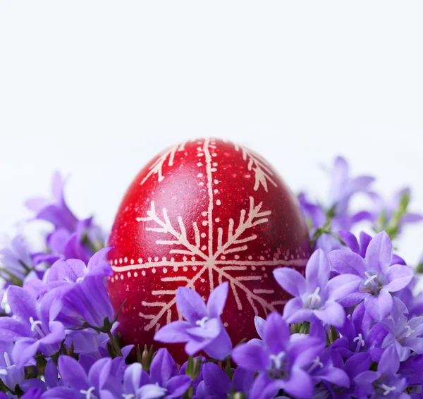 Decorated easter egg with spring flowers — Stock Photo, Image