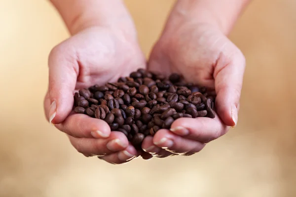 Handvol vers gebrande koffie — Stockfoto