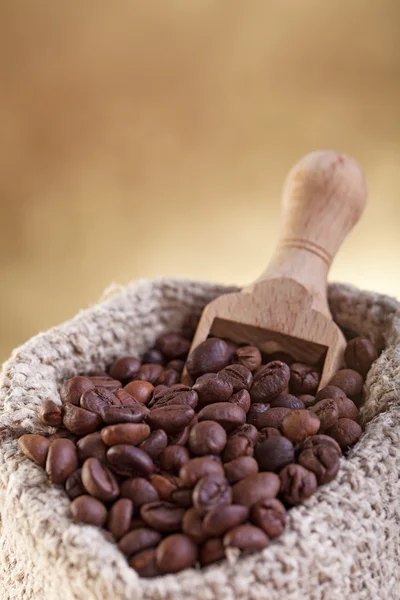 Coffee beans — Stock Photo, Image