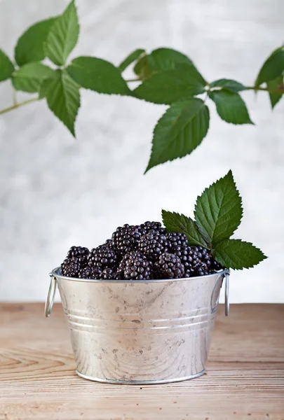 Blackberries in small bucket — Stock Photo, Image