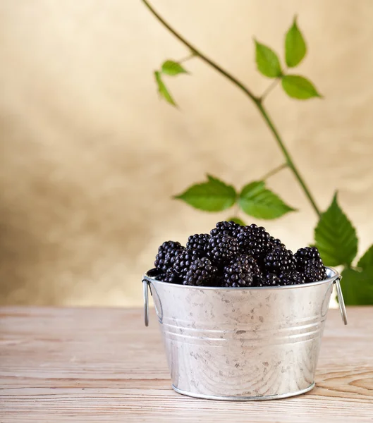 Blackberries with leaves on golden background — Stock Photo, Image