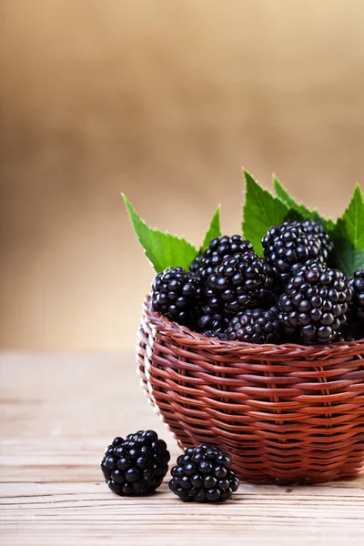 Blackberries in a small basket — Stock Photo, Image