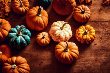 Sonbahar Balkabağı Şükran Günü Arkaplanı - ahşap masada çeşitli balkabakları