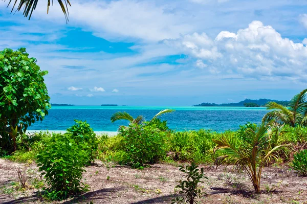 Tropical desert island landscape — Stock Photo, Image