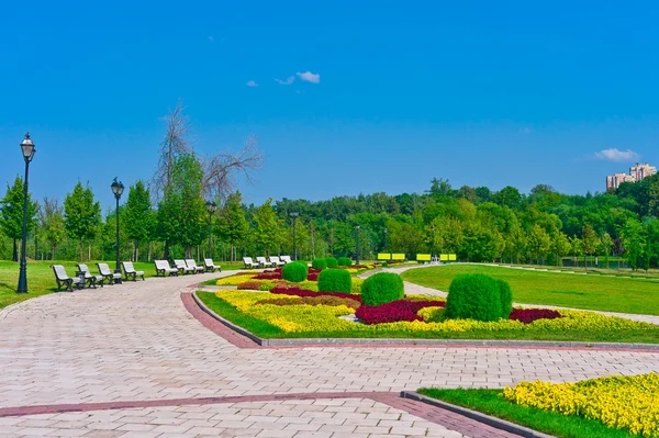 Chodnik w lato park — Zdjęcie stockowe