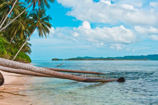 Kust van afgelegen tropische eiland — Stockfoto