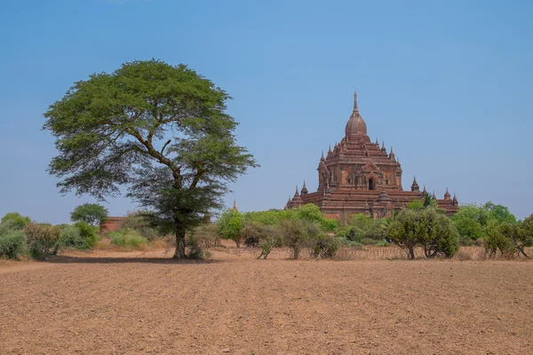 Velký buddhistický chrám v bagan — Stock fotografie