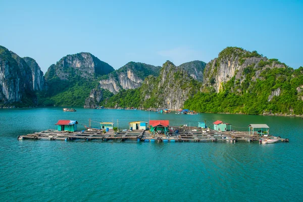 Pueblo pesquero flotante en la bahía de Halong —  Fotos de Stock