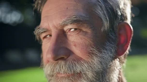 Cara Homem Cabelos Grisalhos Com Barba Ele Está Parque Raios — Vídeo de Stock