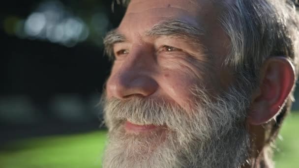 Cara Hombre Pelo Gris Con Barba Está Parque Los Rayos — Vídeo de stock