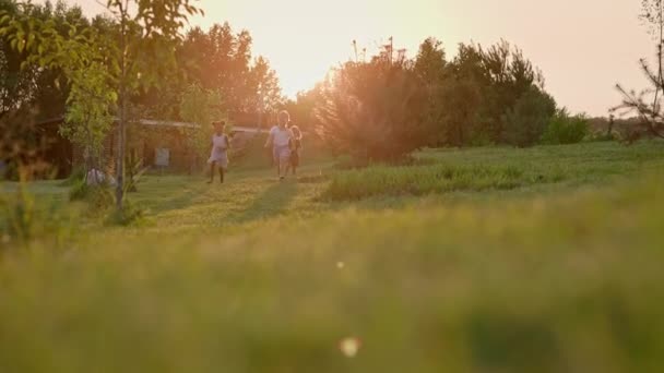 三个孩子跑过花园 美丽的夏日艳阳天 黑人和白人女孩和小男孩 有趣的孩子 — 图库视频影像