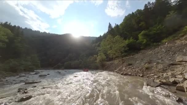 Tormentoso Río Montaña Rodeado Bosque Coníferas Agua Sucia Rápida Cielo — Vídeo de stock
