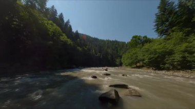 Kozalaklı Orman ile çevrili Fırtına Dağı Nehri. Kirli ve Hızlı Su. Yoğun Ormanın Üzerindeki Güneşli Gökyüzü.