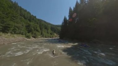 Kozalaklı Orman ile çevrili Fırtına Dağı Nehri. Kirli ve Hızlı Su. Yüksekten ateş ediliyor. Yoğun Orman Üzerindeki Güneşli Gökyüzünü Temizle.
