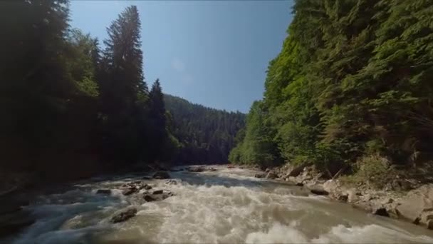 Tormentoso Río Montaña Rodeado Bosque Coníferas Agua Sucia Rápida Cielo — Vídeos de Stock