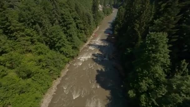 Stormy Mountain River Περιβάλλεται Από Κωνοφόρα Δάσος Βρώμικο Και Γρήγορο — Αρχείο Βίντεο