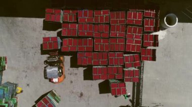 Hava görüntüsü. Yükleyiciler büyük meyve kutuları taşır. Olgun meyveler kutularda. Böğürtlen Taşıma Kutuları.