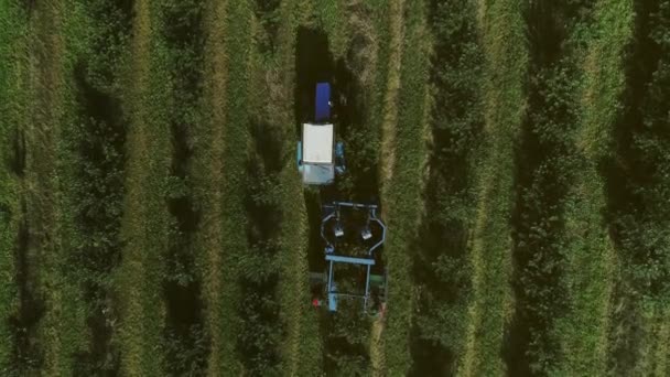공중에서 과수원 열매는 트랙터가 콤바인을 발명하다 기계는 열매를 사람들은 수확자 — 비디오
