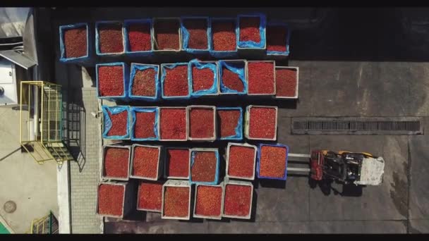 叉车载着一大盒水果 成熟的水果在箱子里 空中视图 — 图库视频影像