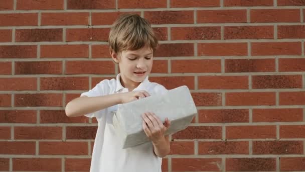 Little Boy Unpacks Gift Child Holds Surprise His Hand Brick — Stock Video