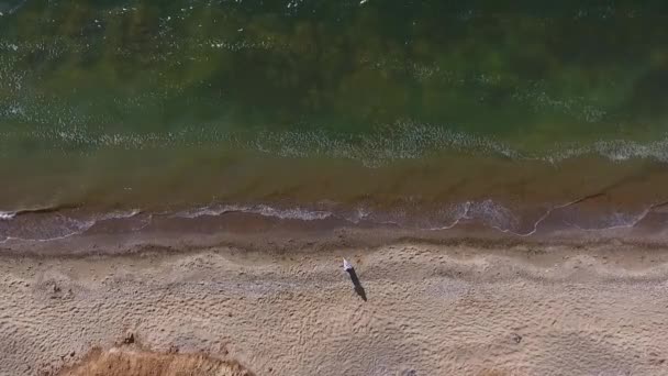 Widok Lotu Ptaka Młoda Kobieta Spacerująca Ciepłej Plaży Cień Dziewczyny — Wideo stockowe