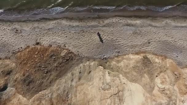 공중에서 여자가 해변을 소녀는 바다로 브루넷이 산에서의 산사태 — 비디오