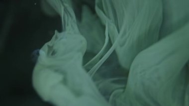 Suya dökülen beyaz boya akıntısı. Soyut Görüntüler. Hayal gücü sanatı. İnce ve kalın boyalı jetler. Boya suda sorunsuzca çözünür..