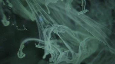 Suya dökülen beyaz boya akıntısı. Soyut Görüntüler. Hayal gücü sanatı. İnce ve kalın boyalı jetler. Boya suda sorunsuzca çözünür..