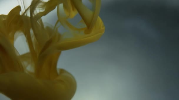 Strumień Żółtej Farby Wlewającej Się Wody Abstrakcyjne Obrazy Sztuka Wyobraźni — Wideo stockowe