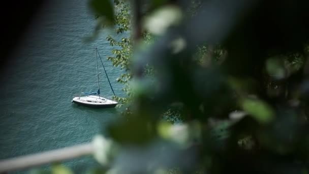 船在水面上航行 顶视图 透过树枝观看 平静的大海轻轻荡漾着浪花 明媚艳阳天 — 图库视频影像