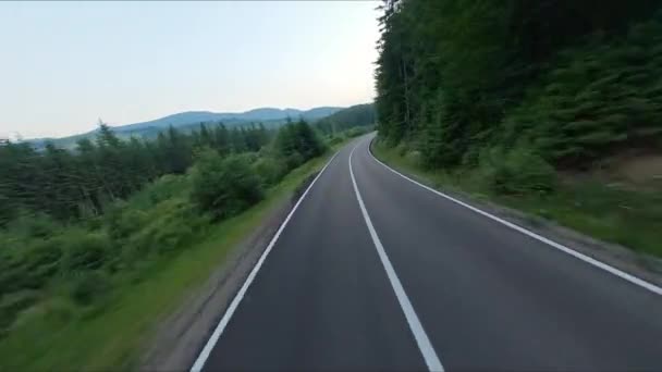 Asphalt Road Surrounded Forest Car Goes Speed Road Turns Valley — Stock Video