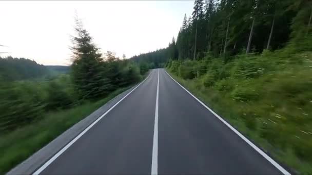 Asfaltweg Omgeven Door Bos Auto Gaat Snelheid Weg Met Bochten — Stockvideo