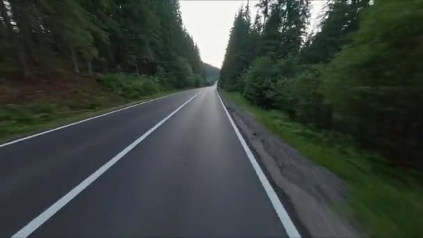森に囲まれたアスファルト道路 車はターンで道路上の速度で行きます 山の谷で 美しい晴れた日 山への旅行 — ストック動画
